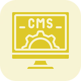 Custom CMS Development Services