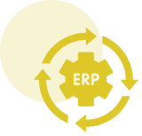 ERP Implementation