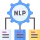 Natural Language Processing (NLP)